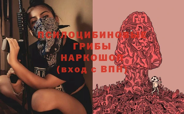 spice Балабаново