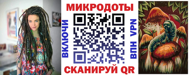 закладки  Гаврилов-Ям  Галлюциногенные грибы мицелий 